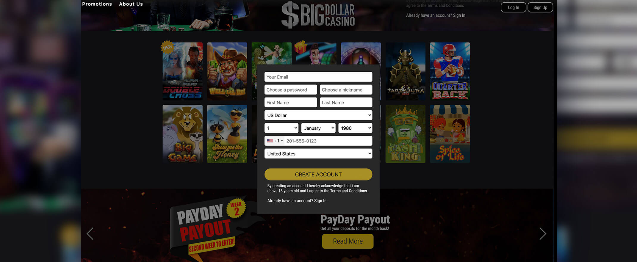 Big Dollar casino registration screenshot