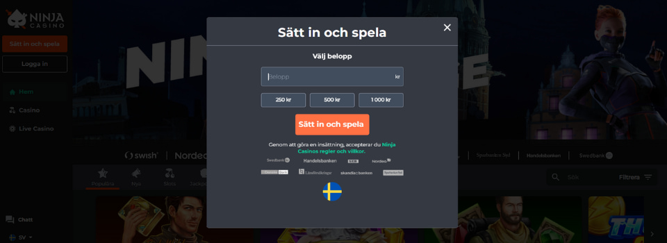 Ninja Casino insättning