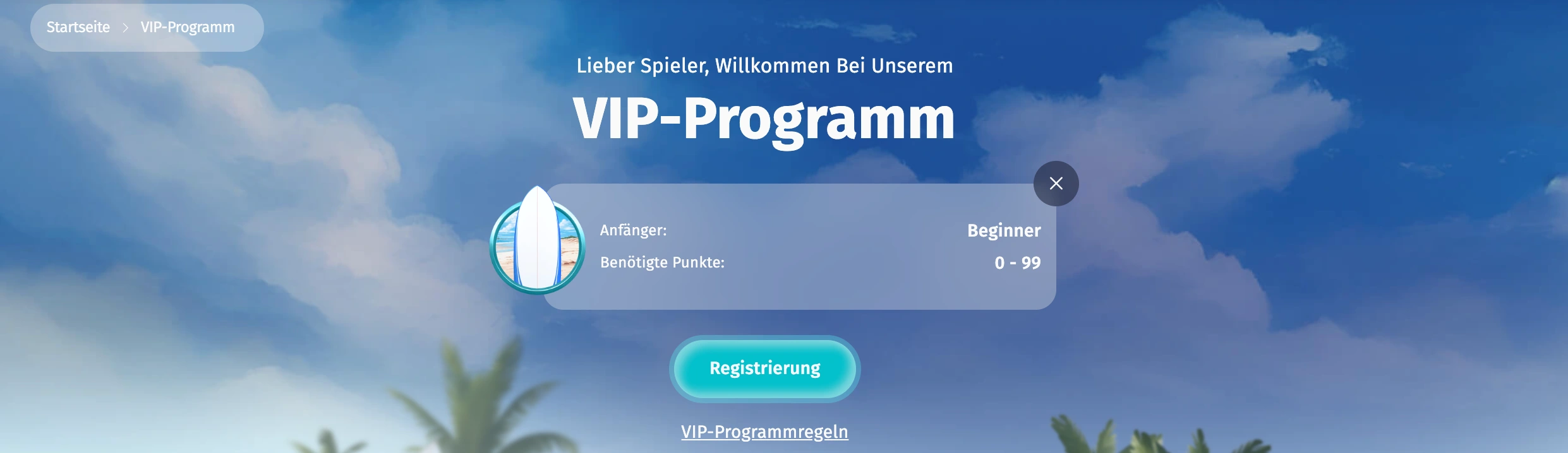 SurfPlay VIP Programm