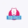 Logo image for Ted Bingo