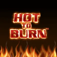 Logo image for Hot to Burn