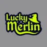 Image for Lucky merlin