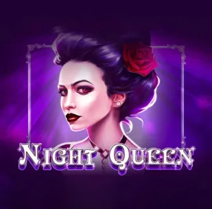 Logo image for Night Queen Spelautomat Logo