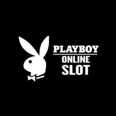 Logo image for Playboy