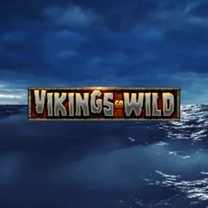 Logo image for Vikings Go Wild