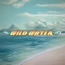 Image for Wild Water