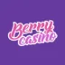 logo image for berry casino