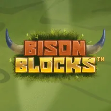 Image for Bison blocks