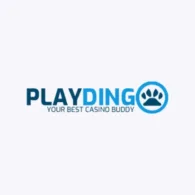 Logo image for Playdingo