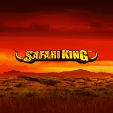 Logo image for Safari King