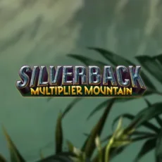 Logo image for Silverback Multiplier Mountain