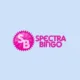 Logo image for Spectra Bingo