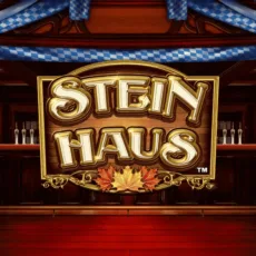 Logo image for Steinhaus