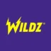 Logo image for Wildz Casino